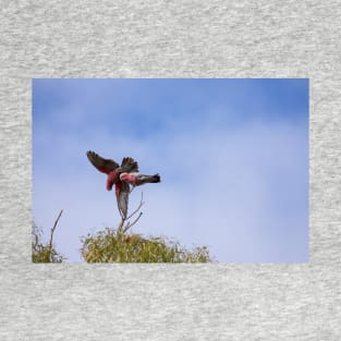 Galahs_VOA7995A T-Shirt